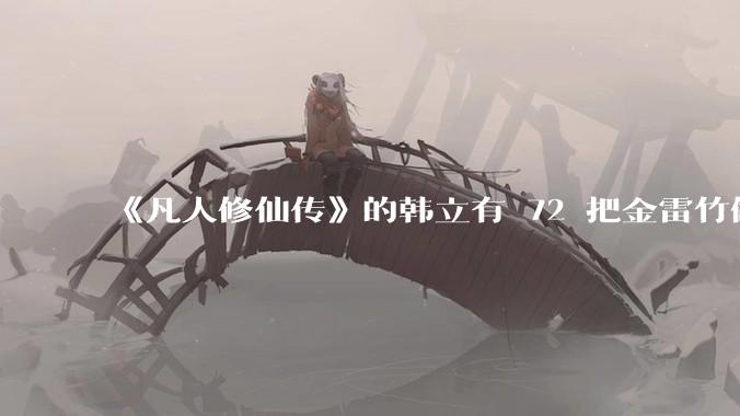 《凡人修仙传》的韩立有 72 把金雷竹做的剑，其他人看见了不觉得奇怪吗？